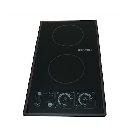2 burner induction cooktop 110v