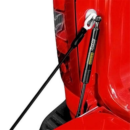 Dee Zee DZ43105 Truck Tailgate Assist for 2001 Chevrolet Colorado