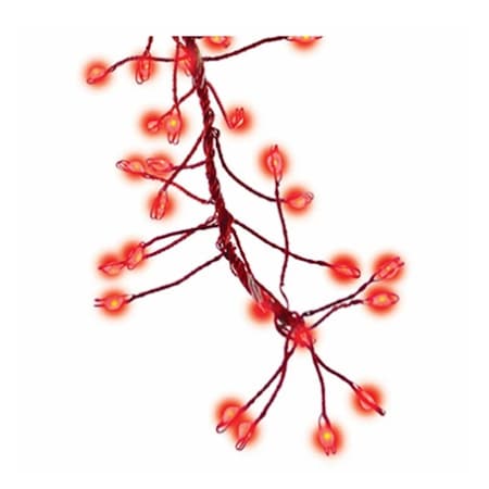 Christmas Micro Cluster Big Seed 216 LED Light Set, Red