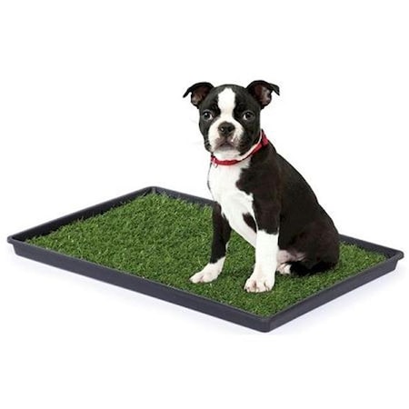 Prevue Hendryx PP-502 Tinkle Turf - Large