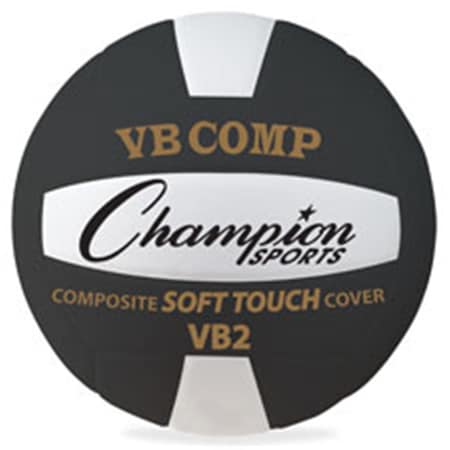 Official Size Volleyball