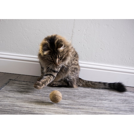 compressed catnip ball