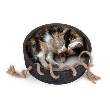 worldwise cat scratcher