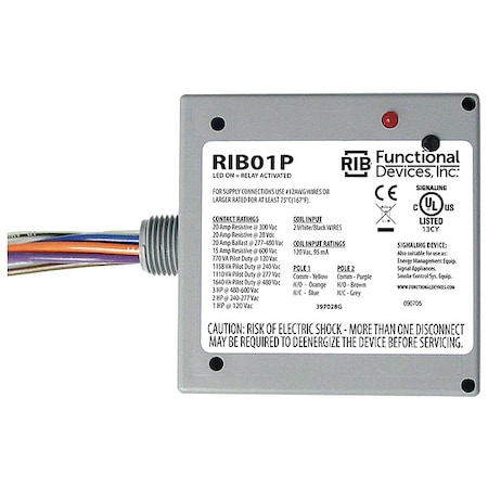 Functional Devices-Rib Enclosed Pre-Wired Relay, 20A at 300VAC, DPDT RIB01P