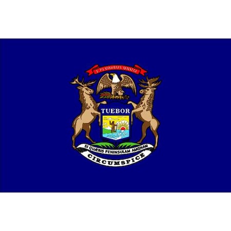 Annin Flagmakers Michigan State Flag, 3x5 Ft 142660