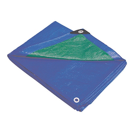 ZORO SELECT Tarp, Polyethylene, Blue/Green, 10x12Ft 2W694