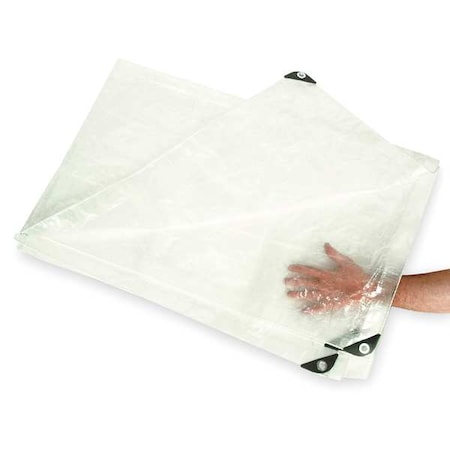 ZORO SELECT Tarp, Polyethylene, Transparent, 6x8Ft 2ZJ68