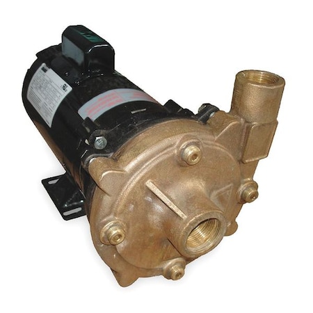 DAYTON Bronze 1/2 HP Centrifugal Pump 115/230V 2ZWZ6