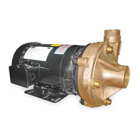 DAYTON Bronze 3 HP Centrifugal Pump 208-230/460V 2ZXA8