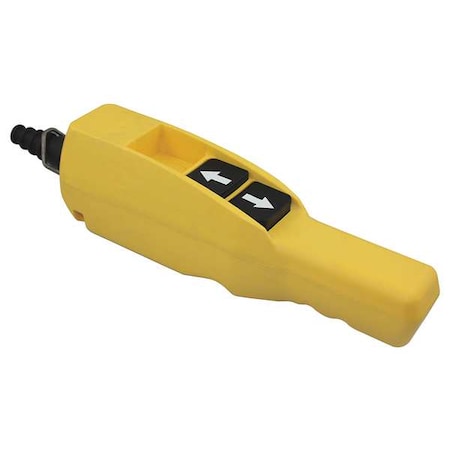 Dayton Pendant Station, 2NO, Yellow 20C813