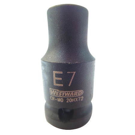 Westward 1/4 in Drive, E7 Female Star SAE Socket, 6 Points 20HX72