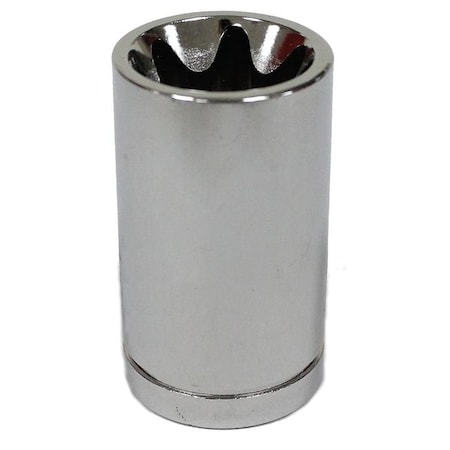 Westward External Star Socket, E16 20HX41