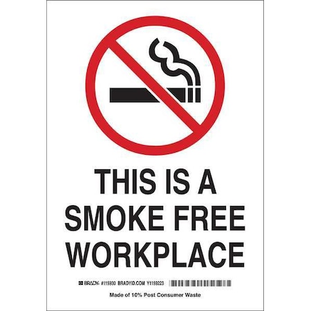 Brady No Smoking Sign, 14 in H, 10" W, Plastic, Rectangle, English, 116095 116095