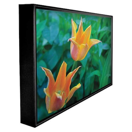 Peerless Industries Outdoor Television, LCD, 47 in., 1080P CL-47PLC68-OB