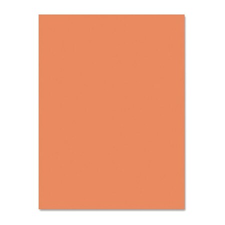 Nature Saver Nature Saver Construction Paper, PK50 SPR22306