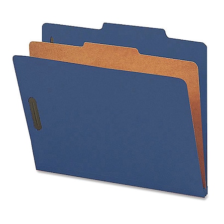 Nature Saver Nature Saver Classification Folders, PK10 NATSP17202