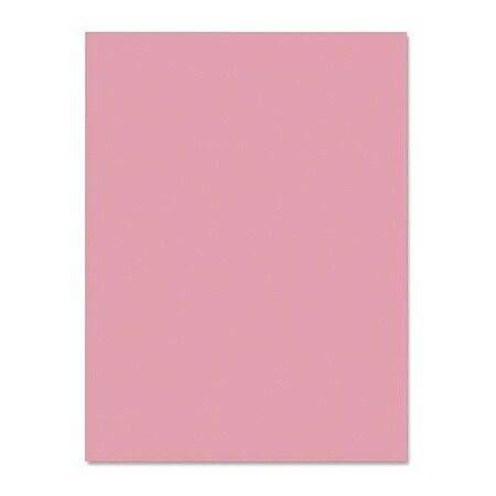 Nature Saver Nature Saver Construction Paper, PK50 NAT22310