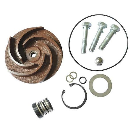 Dayton Pump Repair Kit, For 2ZWX8A 21TG80