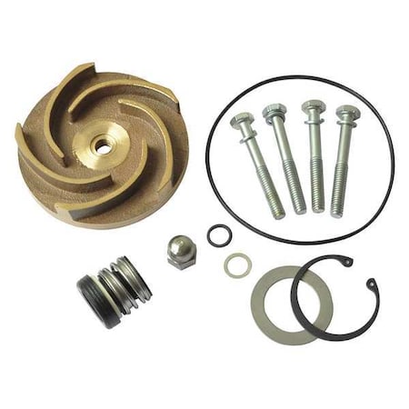 Dayton Pump Repair Kit, For 2ZWY5A 21TG86