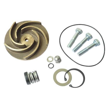 Dayton Pump Repair Kit, For 2ZWY7A 21TG88