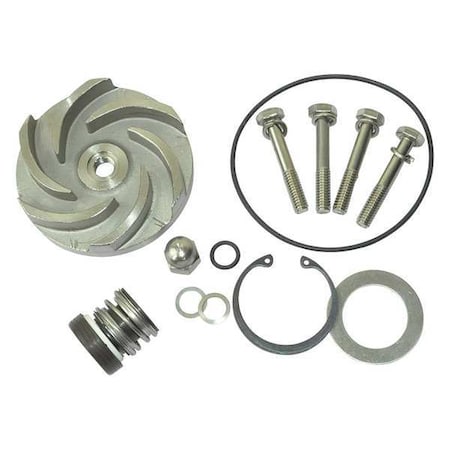 Dayton Pump Repair Kit, For 2ZWY9A 21TG90