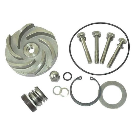 Dayton Pump Repair Kit, For 2ZWZ2A 21TG92