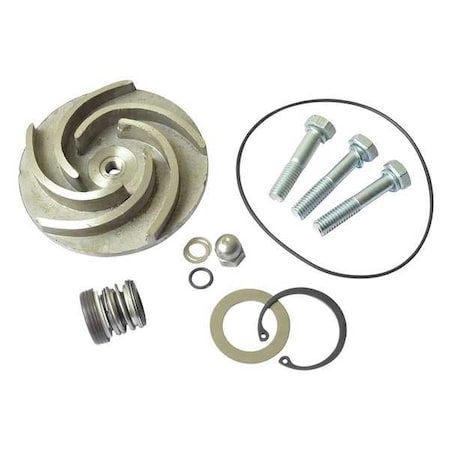 Dayton Pump Repair Kit, For 2ZWZ4A 21TG94