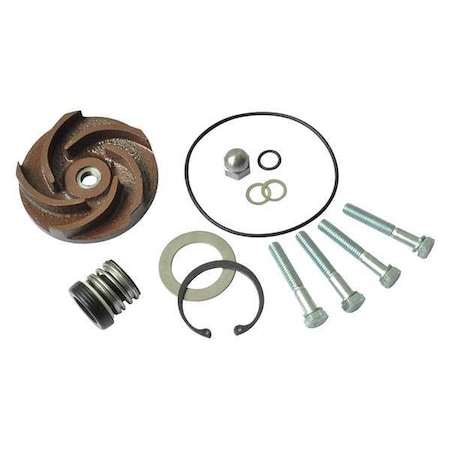 Dayton Pump Repair Kit, For 2ZWX3A 21TG75