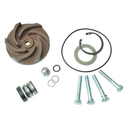 Dayton Pump Repair Kit, For 2ZWX4A 21TG76