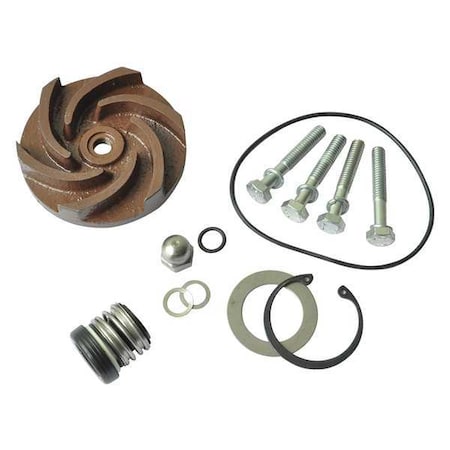 Dayton Pump Repair Kit, For 2ZWX5A 21TG77