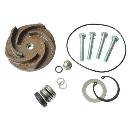 Dayton Pump Repair Kit, For 2ZWX6A 21TG78