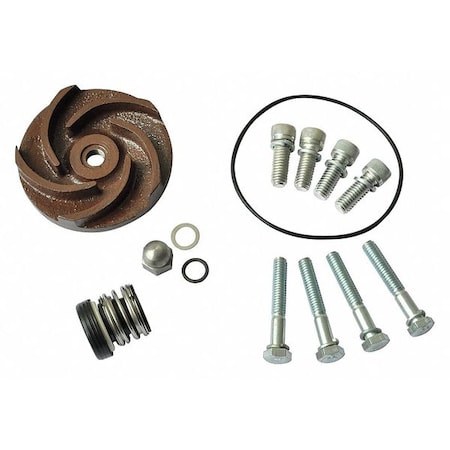 DAYTON Pump Repair Kit, For 2ZWN9A 21TG36