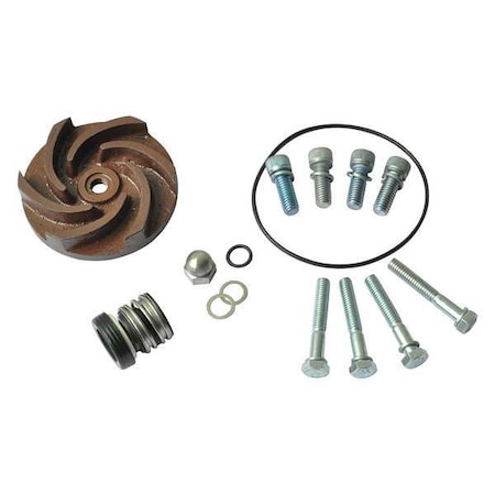 Dayton Pump Repair Kit, For 2ZWP1A, 2ZWP2A 21TG37