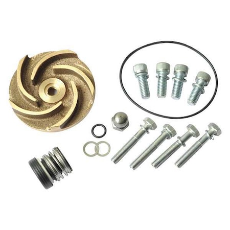 Dayton Pump Repair Kit, For 2ZWR4A 21TG49