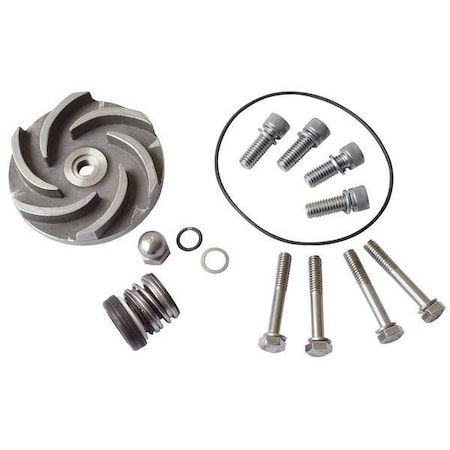 Dayton Pump Repair Kit, For 2ZWU2, 2ZWU3 21TG65