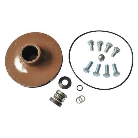 Dayton Pump Repair Kit, For 2ZXK2, 2ZXK3 21TH13