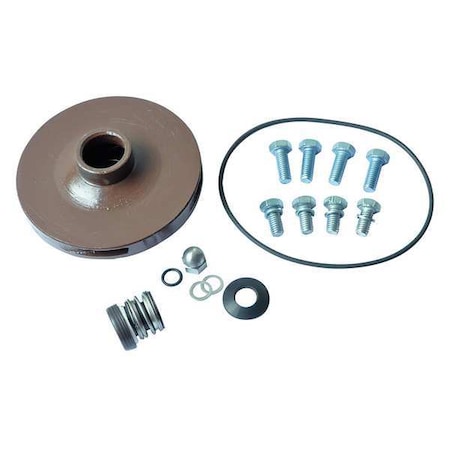 Dayton Pump Repair Kit, For 2ZXJ1, 2ZXJ2 21TH15