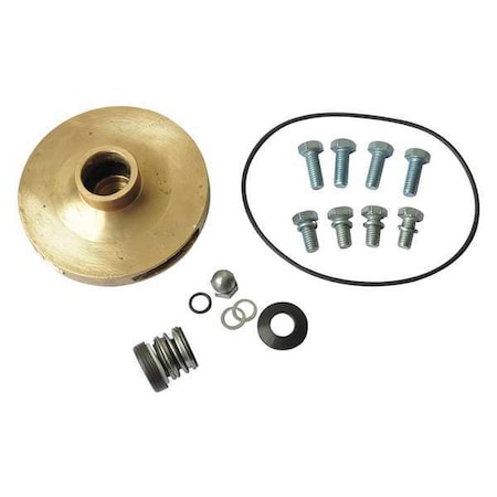 Dayton Pump Repair Kit, For 2ZXL9, 2ZXN1 21TH34