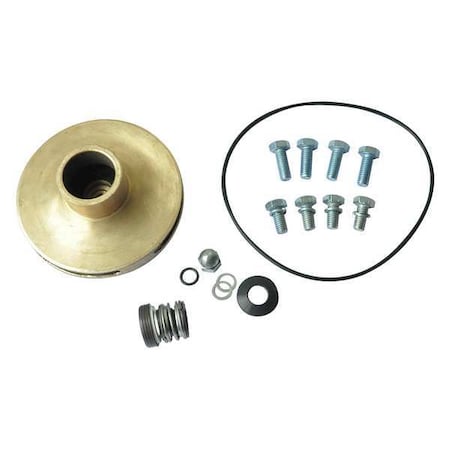Dayton Pump Repair Kit, For 2ZXN8, 2ZXN9 21TH39