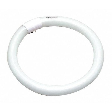 O.C. White Co BigEye(TM)Mag, FC10T9 Bulb, 34W 13362