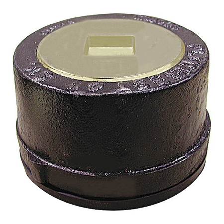 Jones Stephens Cast Iron, Plug: Countersunk, Cleanout Less Gasket C36014