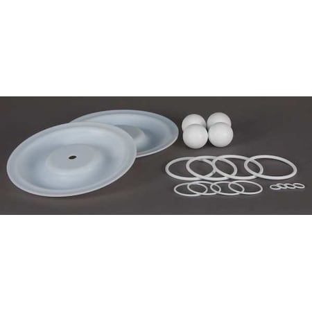 Dayton Pump Repair Kit, PTFE, Fluid, 1 In. 22A612