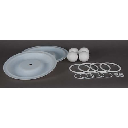 Dayton Pump Repair Kit, PTFE, Fluid, 1 In 22A615