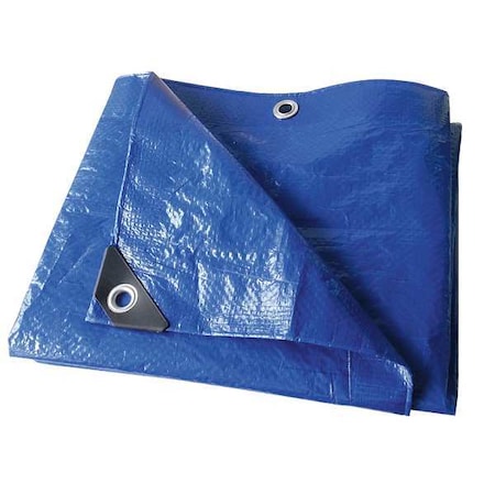 ZORO SELECT Tarp, Polyethylene, Blue, 8x10 ft 22JC26