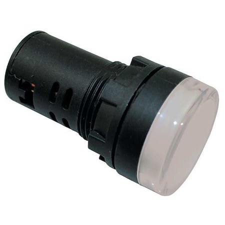 Dayton Raised Indicator Light, 22mm, 240V, White 22NZ10