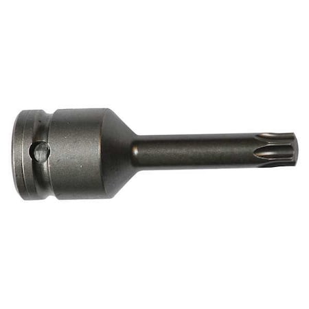 Apex Tool Group Socket Bit, 3/8 in. Dr, T40 Torx(R), PK5 834-TX40-2.95-5PK