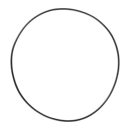 Dayton O-Ring, Viton PP60079G