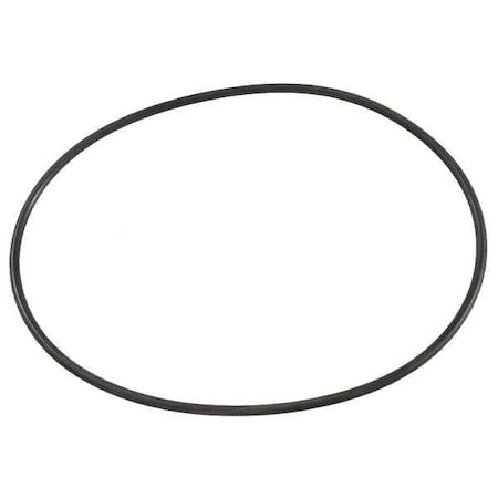 Dayton Pump Casing Cover O-Ring 200800050