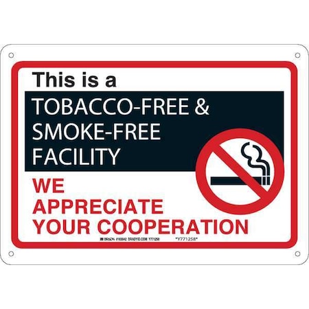 Brady No Smoking Sign, 14 in H, 10" W, Plastic, Rectangle, English, 103842 103842
