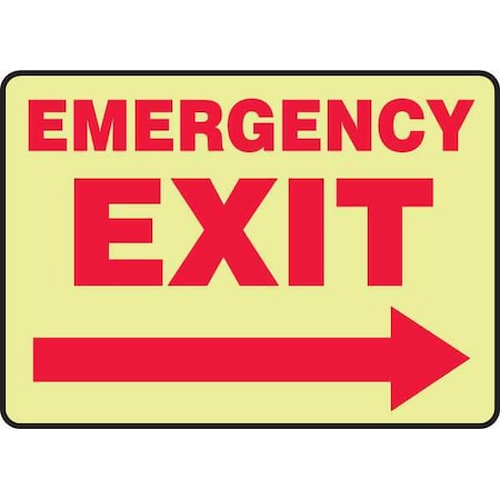 Accuform Exit Sign, Vinyl, 14" W, 10" H, Emergency Exit, Yellow MLEX570GF